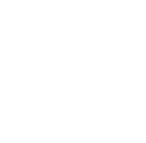 Product image with a clear background